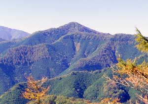 �������R