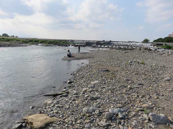 ���a�p�������̑����썶��